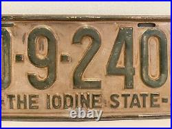1931 South Carolina License Plate Garage Decor D9240 Ford Dodge Iodine State