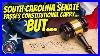 South_Carolina_Senate_Passes_Constitutional_Carry_But_01_mot