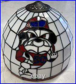 VTG South Carolina State SCS Bulldogs Blown Glass Lampshade RARE